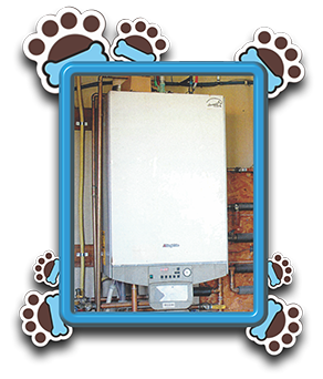 Pet Store «AA Ridgewood Kennels II», reviews and photos, 5401 Lincoln Hwy, Gap, PA 17527, USA