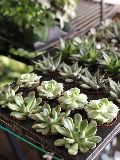 Florist «Bouquets and Baskets», reviews and photos, 548 Jersey Ave, Jersey City, NJ 07302, USA