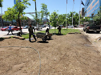 Green Healthy Cleaning, Landscaping & Home Services - Photo 4 - Car repair in Pasadena, MD, Baltimore