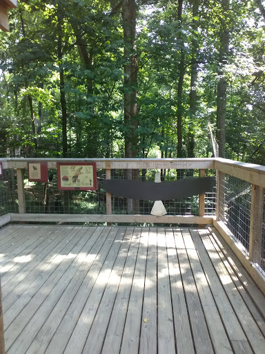 Government Office «Bear Hollow Wildlife Trail», reviews and photos, 293 Gran Ellen Dr, Athens, GA 30606, USA