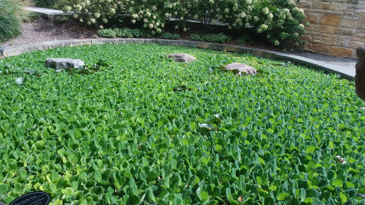 Botanical Garden «White River Gardens», reviews and photos, 1200 W Washington St, Indianapolis, IN 46222, USA