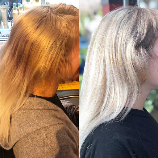 Beauty Salon «Elixir an Aveda Concept Salon», reviews and photos, 1599 Hopkins St, Berkeley, CA 94707, USA