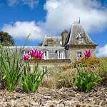 Photo n° 2 de l'avis de Nature.BY..E fait le 30/03/2022 à 20:17 pour Château Bellenau à Carentan-les-Marais