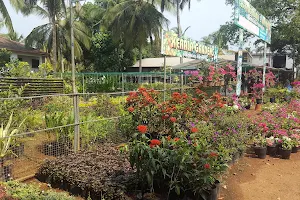 KERALA Gardens and Nursery image
