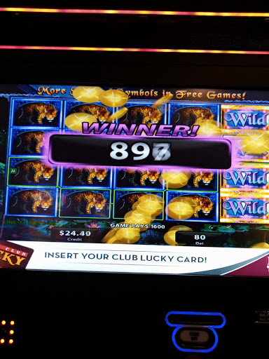 Casino «Lucky Dog Casino», reviews and photos, 19330 US-101, Skokomish, WA 98584, USA