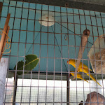 Photo n°5 de l'avis de Ivana.a fait le 01/04/2022 à 18:55 sur le  Cavalier Uliva à Fossalta