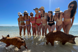 Pigs Cove Beach Adventures image