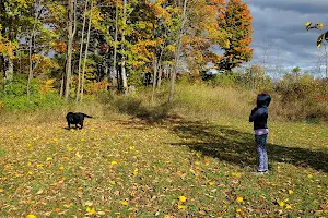 Madoc Off Leash Dog Park image