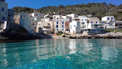 Φωτογραφία του Spiaggia di Cala Dogana με επίπεδο καθαριότητας αρκετά καθαρό