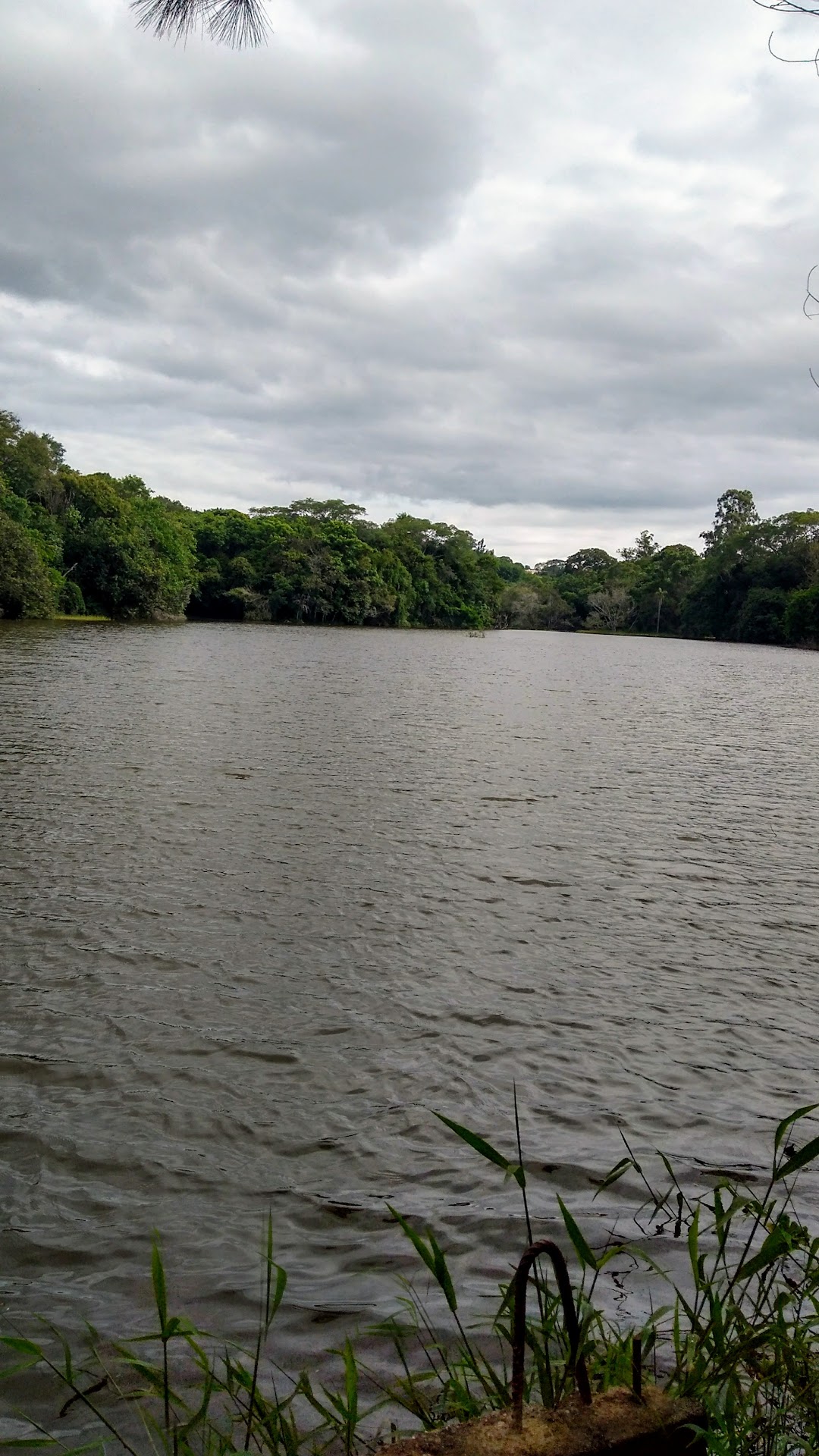 Parque Ecologico Pantanal