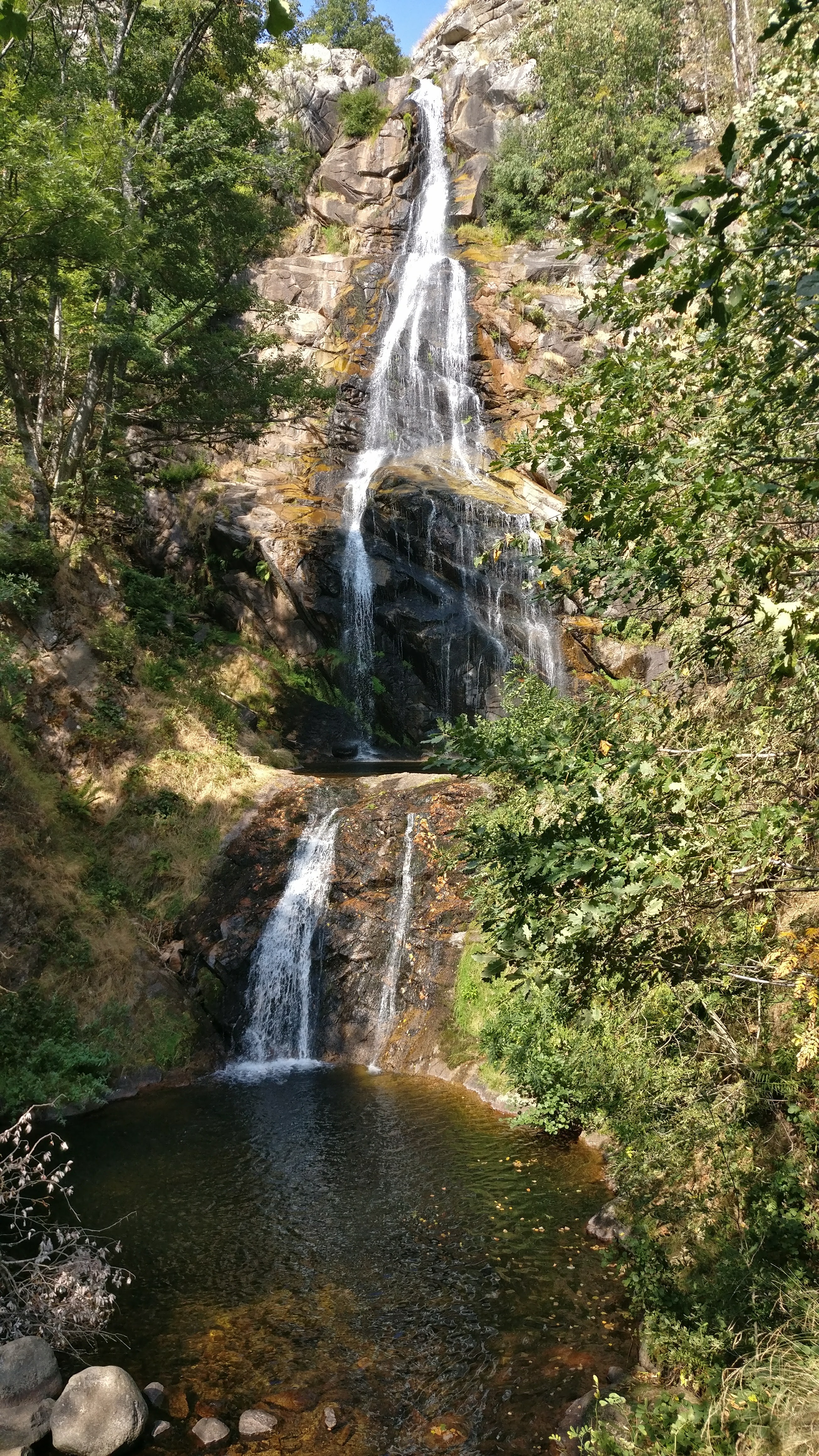 Photo n° 2 de l'avis de Charnay.L fait le 08/09/2017 à 05:06