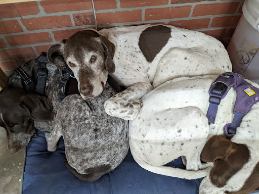 Fay Fay’s Pet Salon