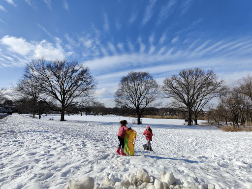 Park «Kawameeh Park», reviews and photos, 1750 Morris Ave, Union, NJ 07083, USA