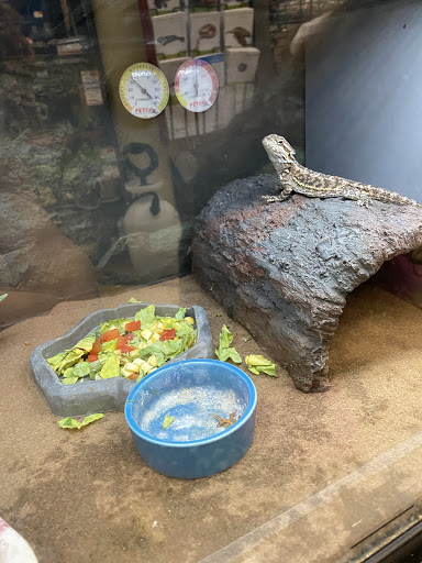 Pet Supply Store «Petco Animal Supplies», reviews and photos, 11 Cornerstone Square #200, Westford, MA 01886, USA