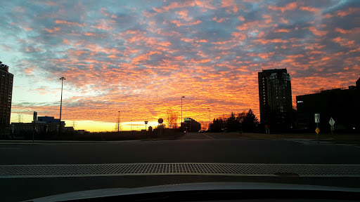 Amusement Park «Edinborough Park», reviews and photos, 7700 York Ave S, Edina, MN 55435, USA