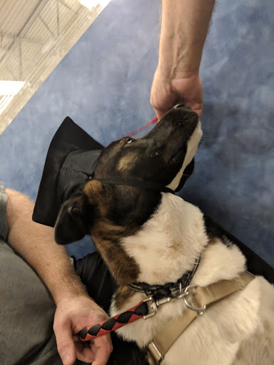 Pet Supply Store «PetSmart», reviews and photos, 11132 Abercorn St, Savannah, GA 31419, USA