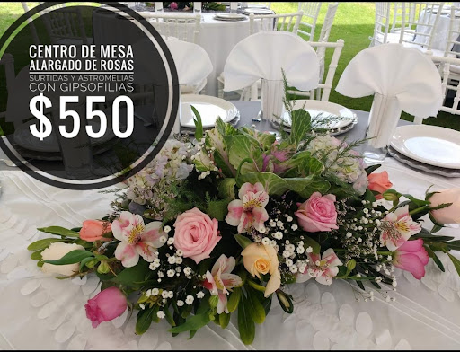 FLORERIA PREMIUM – Mérida