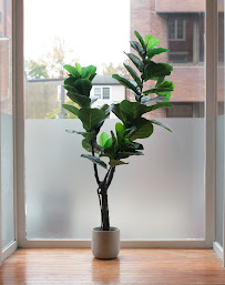 Therapy for Women Center - Photo 6 - Car repair in Philadelphia, PA, Philadelphia