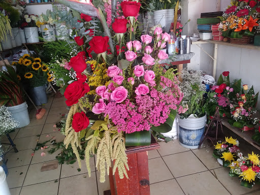 Floreria ave paraiso – Jesús María