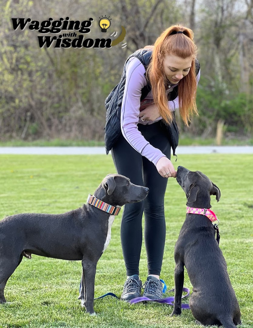 Wagging with Wisdom