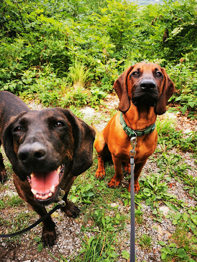 Dr. Martina Sander Tierärztin unter Freden, Niedersachsen