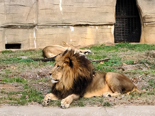 Zoo «Tulsa Zoo», reviews and photos, 6421 E 36th St N, Tulsa, OK 74115, USA