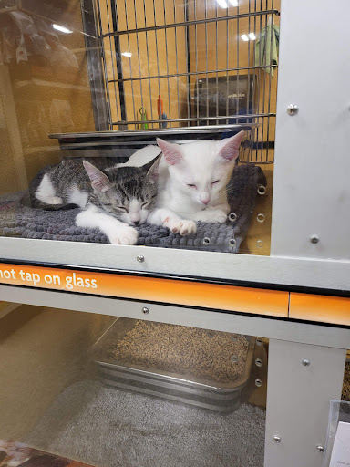 Pet Supply Store «PetSmart», reviews and photos, 1801 Howell Mill Rd NW, Atlanta, GA 30318, USA