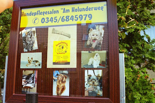 Hundepflegesalon am Holunderweg à Halle (Saale)