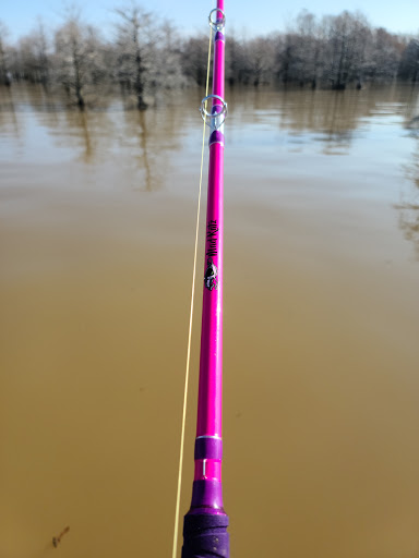 Sporting Goods Store «Irby Street Sporting Goods», reviews and photos, 1333 S Irby St # A, Florence, SC 29505, USA