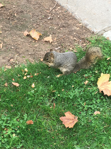 College «Sacramento City College», reviews and photos