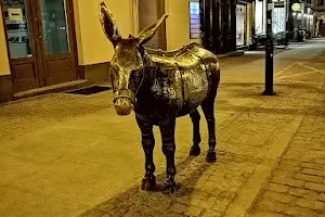 The Spanish donkey image