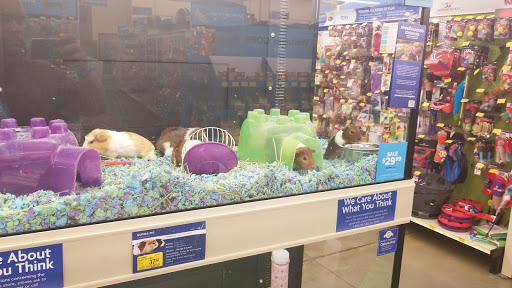 Pet Supply Store «PetSmart», reviews and photos, 6106 Shops Way, Northborough, MA 01532, USA