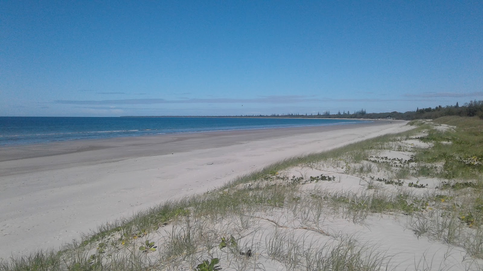 Woodgate Beach photo #7