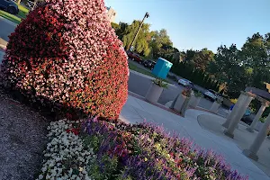 Horticulture Gardens image