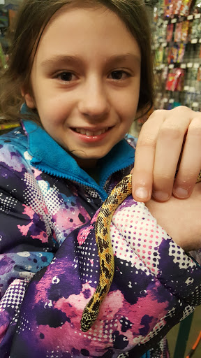 Pet Store «WorldWide Fish & Pets», reviews and photos, 61 Amity Rd, New Haven, CT 06515, USA