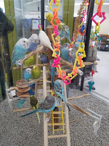 Pet Supply Store «Petco Animal Supplies», reviews and photos, 1301 S California Blvd, Walnut Creek, CA 94596, USA