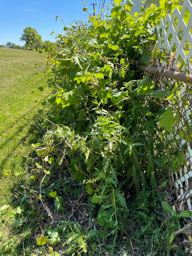 Golf Club «Red Run Golf Club», reviews and photos, 2036 Rochester Rd, Royal Oak, MI 48073, USA