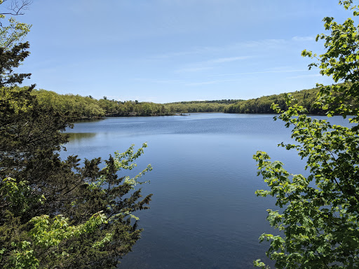 Lake Taghkanic State Park image 3