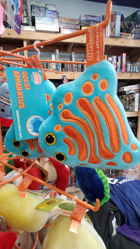 Comic Book Store «Bell Book & Comic», reviews and photos, 458 Patterson Rd, Dayton, OH 45419, USA