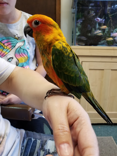 Bird Shop «Paterson Bird Store», reviews and photos, 13 Furler St # 1, Totowa, NJ 07512, USA