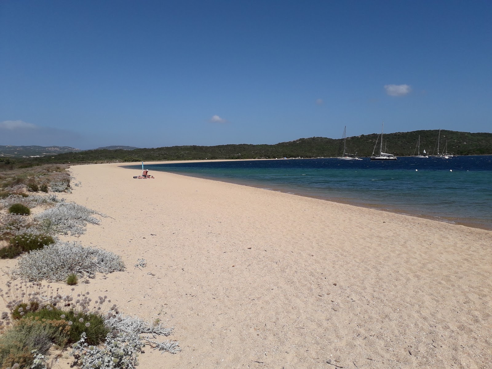 Valokuva Spiaggia Di Porto Lisciaista. mukavuudet alueella