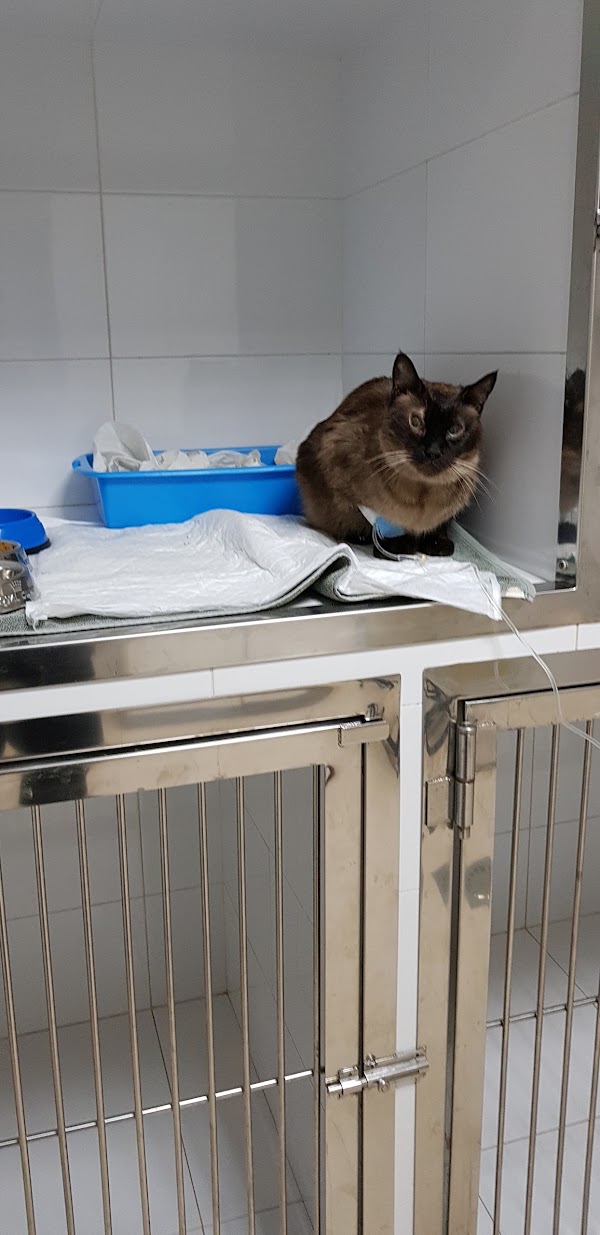Clínica Veterinria Carme Reynes