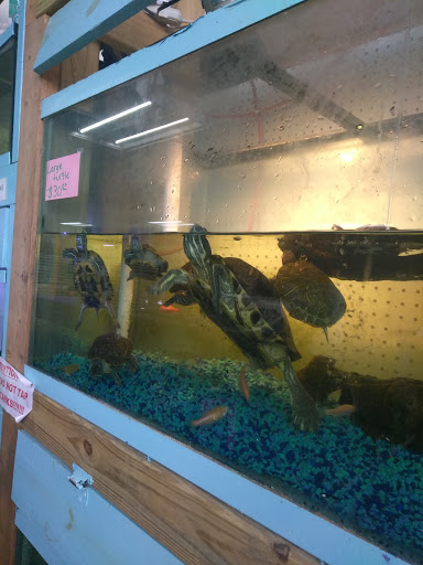 Pet Supply Store «D & D Pet Center», reviews and photos, 8813 Michigan Ave, Detroit, MI 48210, USA