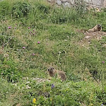 Photo n°8 de l'avis de gianni.a fait le 09/08/2021 à 10:01 sur le  Albergo Villa Clara à Canazei