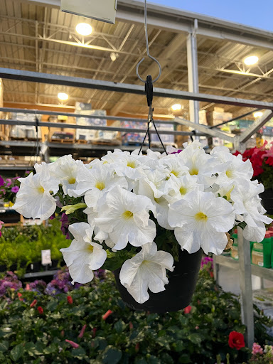 Home Improvement Store «The Home Depot», reviews and photos, 1781 E Bayshore Rd, East Palo Alto, CA 94303, USA