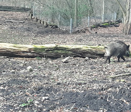 Wildtiergehege photo
