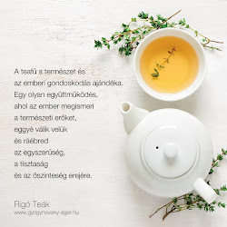 Rigó Teaház Kft. - Rigó István fitoterapeuta természetgyógyász, gyógynövény-őstermelő