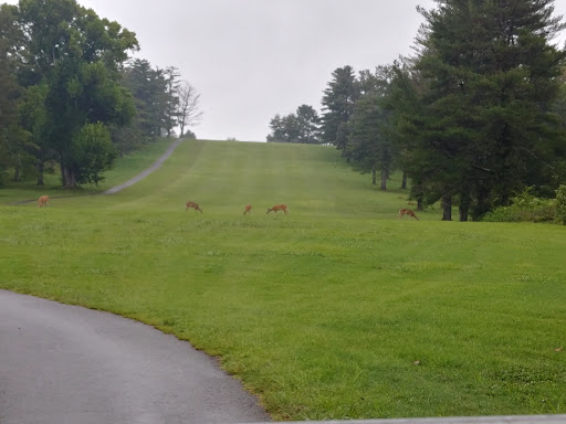 Golf Course «Cole Park Golf Course», reviews and photos, 1610 101 St Airborne Division Road, Fort Campbell, TN 42223, USA
