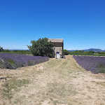 Photo n° 7 de l'avis de Fleury.e fait le 11/09/2023 à 06:52 pour Intermarché SUPER Bollene à Bollène