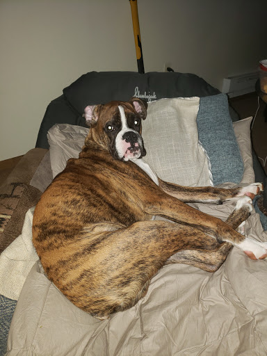 Pet Supply Store «PetSmart», reviews and photos, 9342 WI-16, Onalaska, WI 54650, USA